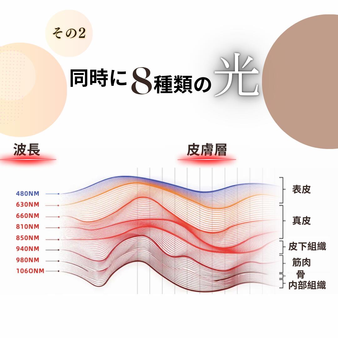 [RT750+] LED治療 Red Light therapy 美顔器 光美容器 美肌 ニキビ シワ シミ コラーゲンマシン エイジングケア ヒーライト / レギュラー-ワイドサイズ