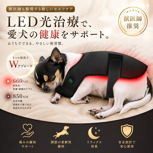犬・ペット用 LED 光治療 デバイス｜Red Light Therapy レッドライト　セラピー