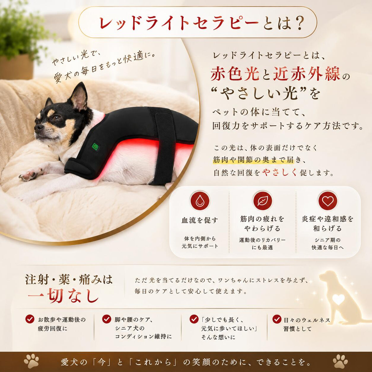 犬・ペット用 LED 光治療 デバイス｜Red Light Therapy レッドライト　セラピー