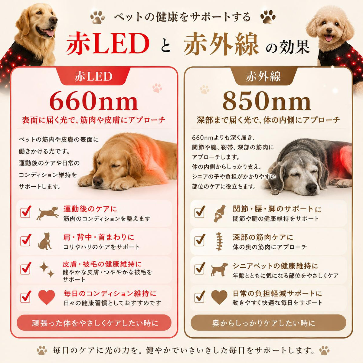 犬・ペット用 LED 光治療 デバイス｜Red Light Therapy レッドライト　セラピー